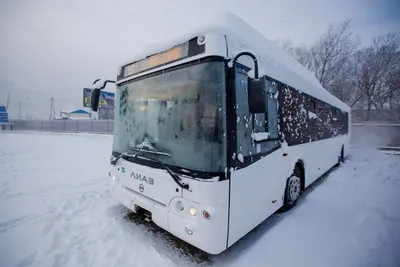Мэрия изменила маршрут автобуса №36 — в чем причины - 23.12.2019, Sputnik  Кыргызстан