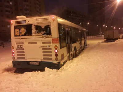 В Южно-Сахалинске появился новый автобус для маломобильных граждан -  SakhalinMedia.ru