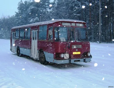 ФОТО | Не повторяйте! В Маарду автобус чуть не попал под поезд - Delfi RUS