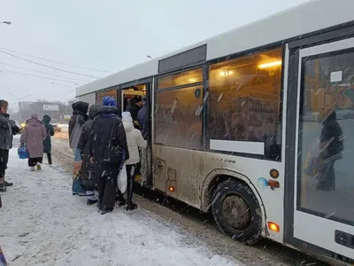 Страшная авария на Алтае: следовавший в Казахстан автобус столкнулся с  грузовиком - 02.03.2023, Sputnik Казахстан