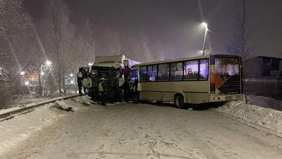 В Уфе из-за морозов на маршрут вышла лишь половина автобусов - Новости -  Уфа - UTV