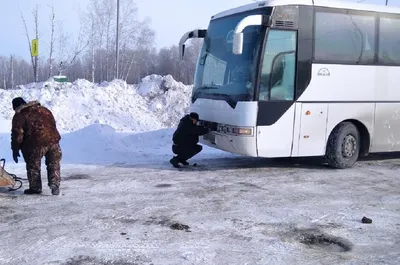 Воронежцы выломали дверь автобуса в попытке залезть в него