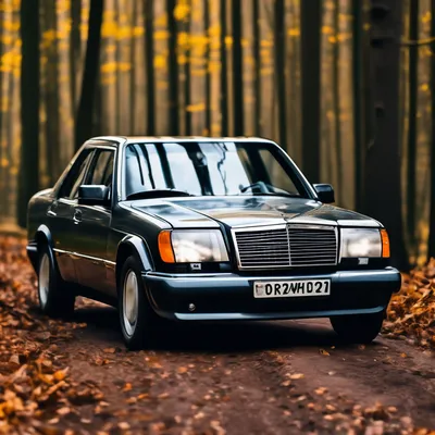 Картинки mercedes, w140, кабан, рубльсорок - обои 1920x1080, картинка  №175574