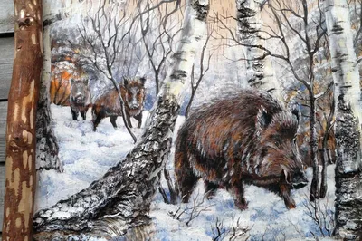 кабан зимой | Boar hunting, Boar, Animals