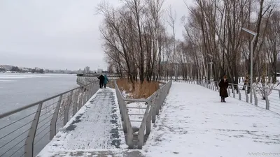 Его боятся даже тигры: кабана-секача обнаружили в Хабаровском крае - KP.RU