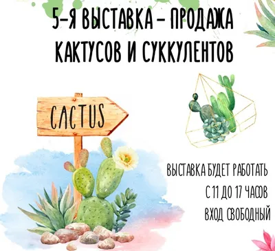 Кактусы и суккуленты - неприхотливые комнатные растения :: myPlants