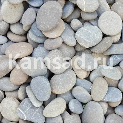 Декоративный камень морская галька серый Туапсе (крупная), купить в  интернет-магазине \"Каменистый Сад\"