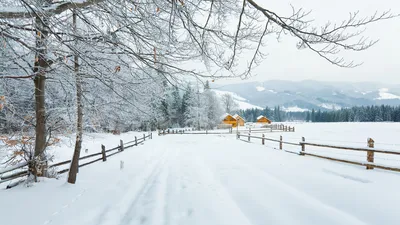 Чем прекрасен зимний отдых в Карпатах » Турбаза \"Тиса\"