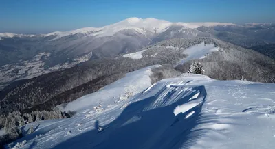 В Карпатах лежит снег - свежие фото заснеженных Карпат - Апостроф