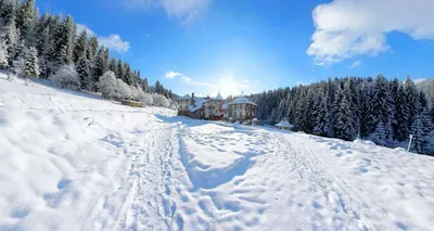 7 ЗИМНИХ ЧУДЕС ЗАКАРПАТЬЯ • отдых в Закарпатье зимой, тур с Киева | ТК  TурБаза
