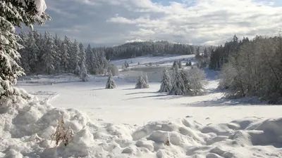 Куда поехать зимой в Карпаты - где лучший зимний отдых в горах