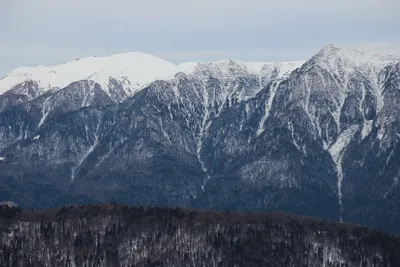 Зимний отдых в Карпатах , Буковель! Winter holidays in the Carpathians |  Facebook