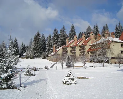 Снег в Карпатах – на гору Иван Пип пришла зима, о чем сообщили в ГСЧС - 24  Канал