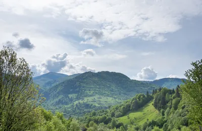 сильная. :: Природа :: Весна в Карпатах.