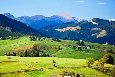 Весна в Карпатах фото Віталій Мамчук | Пейзажи, Весна, Природа