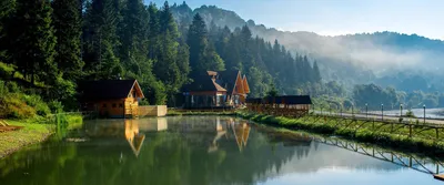 Карпаты, весна, май 2016. Фотограф Рукомойников Валентин