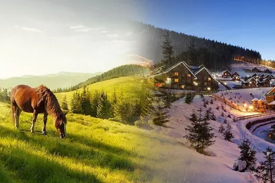 В Карпаты на машине: отдых в Карпатах летомOlgatravel.com