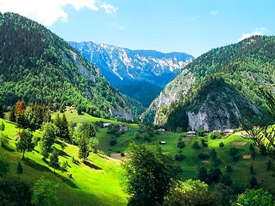 Dragobrat, весна Карпаты стоковое фото. изображение насчитывающей поле -  92420988