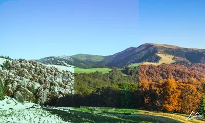 Цены на отдых в Карпатах в 2023 году – за сколько можно снять жилье | РБК  Украина