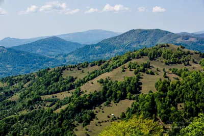 Ландшафт весны с фиолетовым крокусом цветет, горы Fagaras, Карпаты, Румыния  Стоковое Изображение - изображение насчитывающей природа, цветки: 103705607