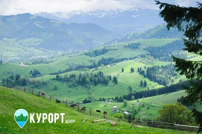 Поход по Карпатам: времена года в Карпатах | Все в Горы