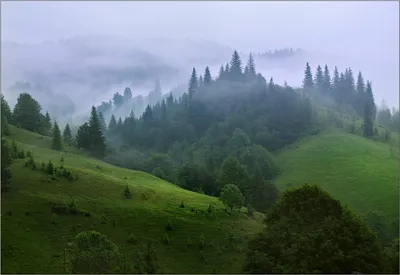 Что делать в Карпатских горах весной туристам