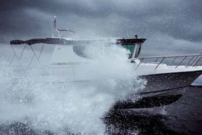 Скоростная яхта Бейлайнер-2655 - фотографии, описание. Аренда яхт, катеров  | компания Рентфлот - Аренда скоростных яхт