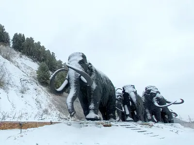 Югра — Дух Oгня