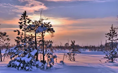 Фонтан \"Ротонда\", Ханты-Мансийск: лучшие советы перед посещением -  Tripadvisor