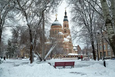 Фото харькова зимой фотографии