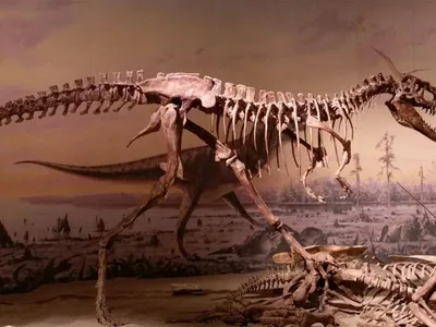 Новый вид хищных динозавров назван в честь Мераксес, одного из трех  драконов Завоевателей – 7Королевств