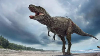 Найдены останки одного из крупнейших хищных динозавров Европы - Газета.Ru |  Новости