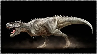 В Британии нашли кости одного из крупнейших хищных динозавров Европы —  09.06.2022 — В мире на РЕН ТВ