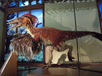 Новый вид хищных динозавров описан в Таиланде