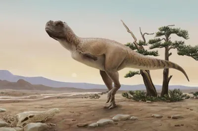 Итальянские палеонтологи раскрыли пищевые привычки хищных динозавров в  Северной Америке