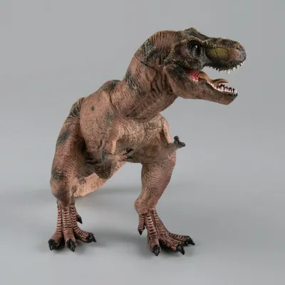 Учёные выяснили, что у хищных динозавров могли быть рога - Индикатор