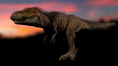 Купить Набор из 12 фигурок в тубусе \"Хищные динозавры\", Safari ltd в  интернет-магазине Мир динозавров