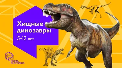 XGL: Набор Хищные динозавры R: купить по доступной цене в Алматы,  Казахстане | Интернет-магазин Marwin