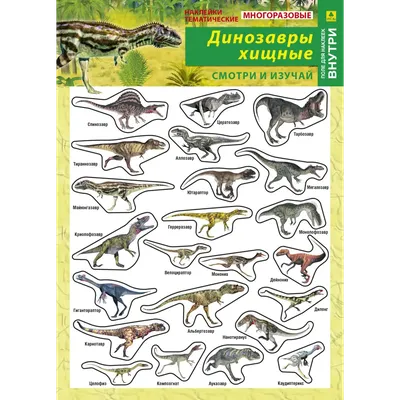 Книга Все хищные динозавры с крупными буквами - купить детской энциклопедии  в интернет-магазинах, цены на Мегамаркет | 13750