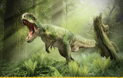 Палеонтологи выяснили, что у хищных динозавров каждые два месяца  обновлялись зубы | Journalist.today