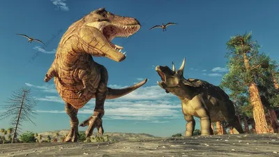 Ученые описали новый вид хищных динозавров, доминировавших до тираннозавров  - Информационное Агентство \"Сибиряк Инфо\"