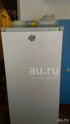 Холодильник Орск — купить в Красноярске. Состояние: Б/у. Холодильники,  морозильные камеры на интернет-аукционе Au.ru