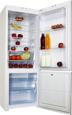 Купить Холодильник ОРСК 175B 365л белый в Тамбове от производителя
