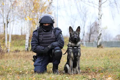 При обнаружении взрывчатки или наркотиков собака не должна лаять»: секреты  работы воронежских кинологов — Интернет-канал «TV Губерния»