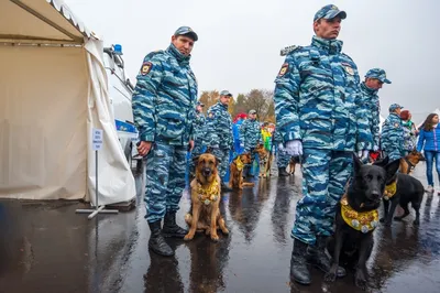 Выезд кинологического расчета в Санкт-Петербурге (СПб)