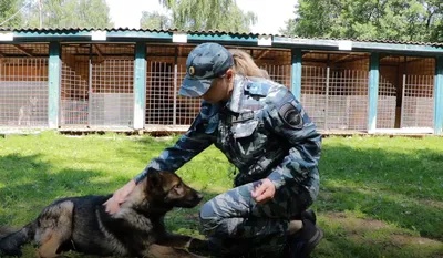 Собаку нужно чувствовать». История спасателя-кинолога МЧС России по НАО »  Новости Нарьян-Мара сегодня – Последние события в НАО – Информационное  агентство NAO24.RU