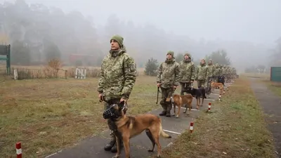 В Орле инспектор-кинолог со служебной собакой разыскали ушедшего из дома  4-летнего ребёнка