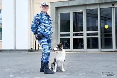 В Башкирии среди специалистов-кинологов со служебными собаками выбрали  лучших из лучших
