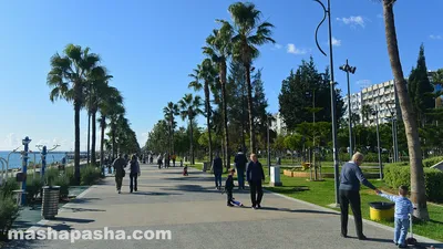 Кипр зимой: что делать, куда поехать, какая погода? Наш отзыв и фото —  MashaPasha путеводители
