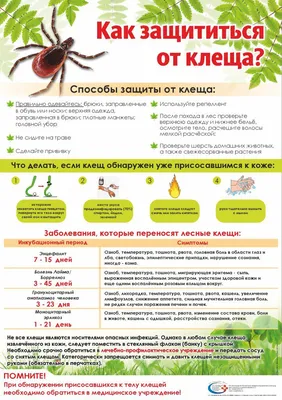 В Омской области около 10% снятых с людей клещей переносят инфекции |  ОБЩЕСТВО | АиФ Омск